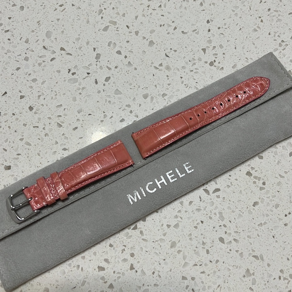 Michele Alligator Band